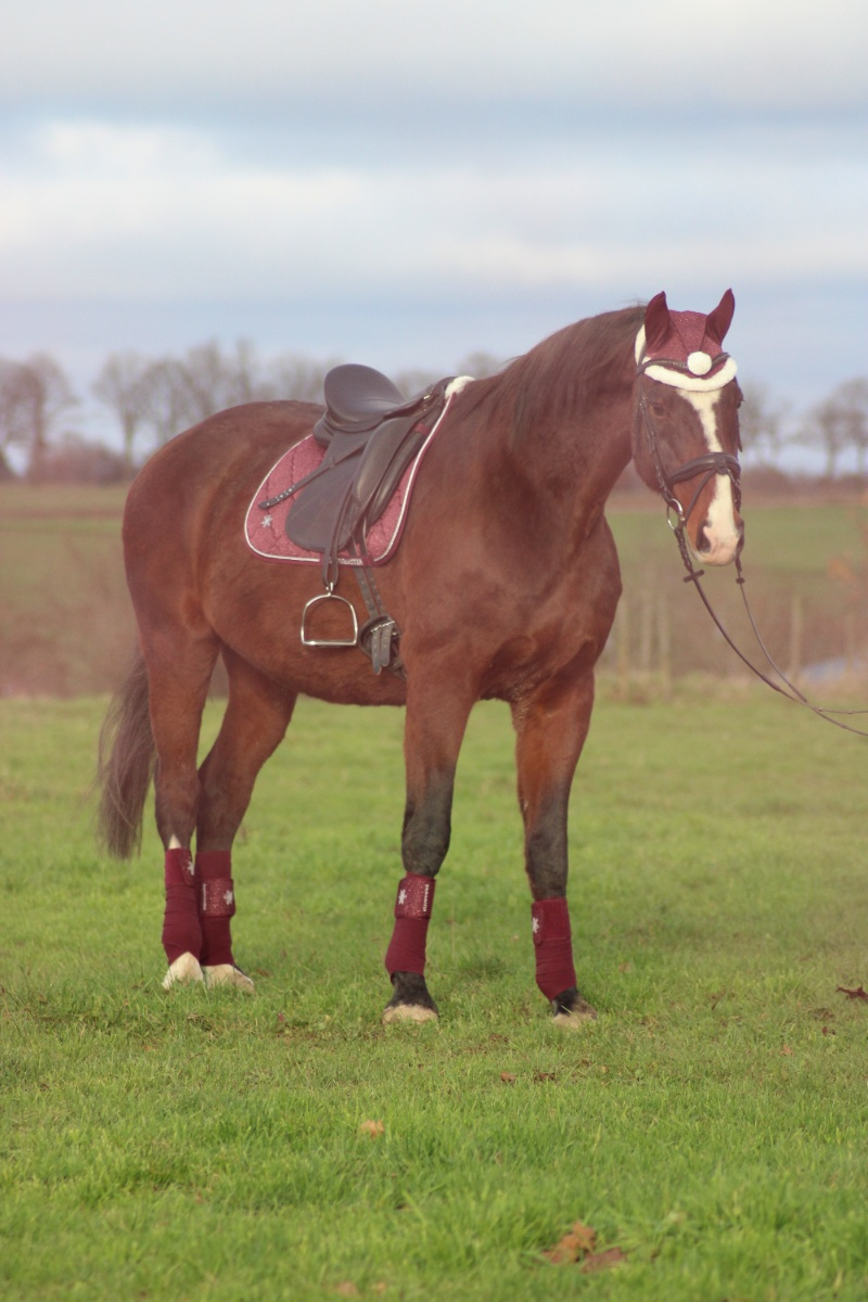 Fotoshooting