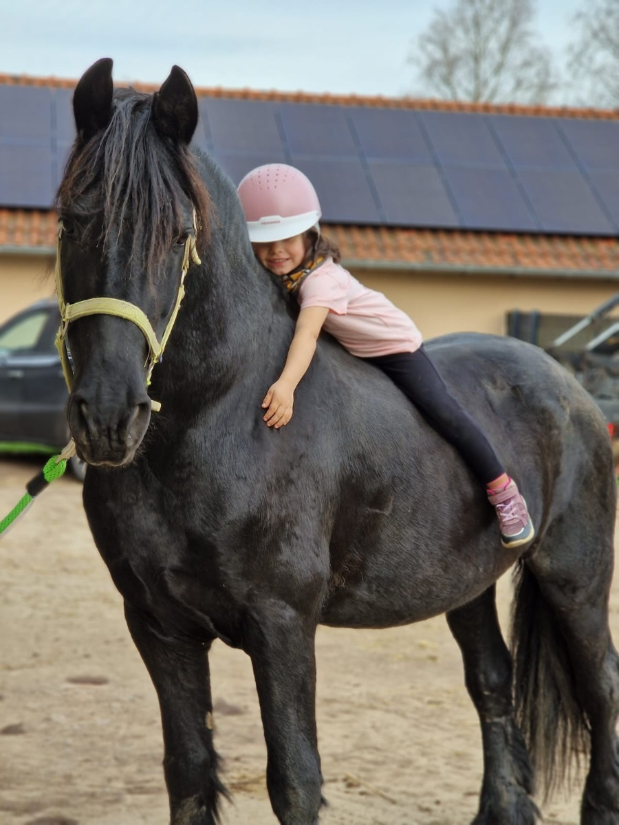 Ponyreiten und Unterstützung